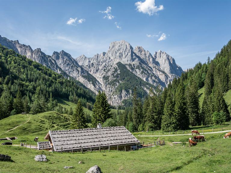 Die Bindalm im Nationalpark Berchtesgaden
